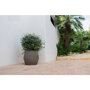 Pottery Pots Stone Harley ronde plantenbak grijs sfeer